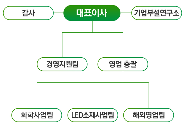 비전